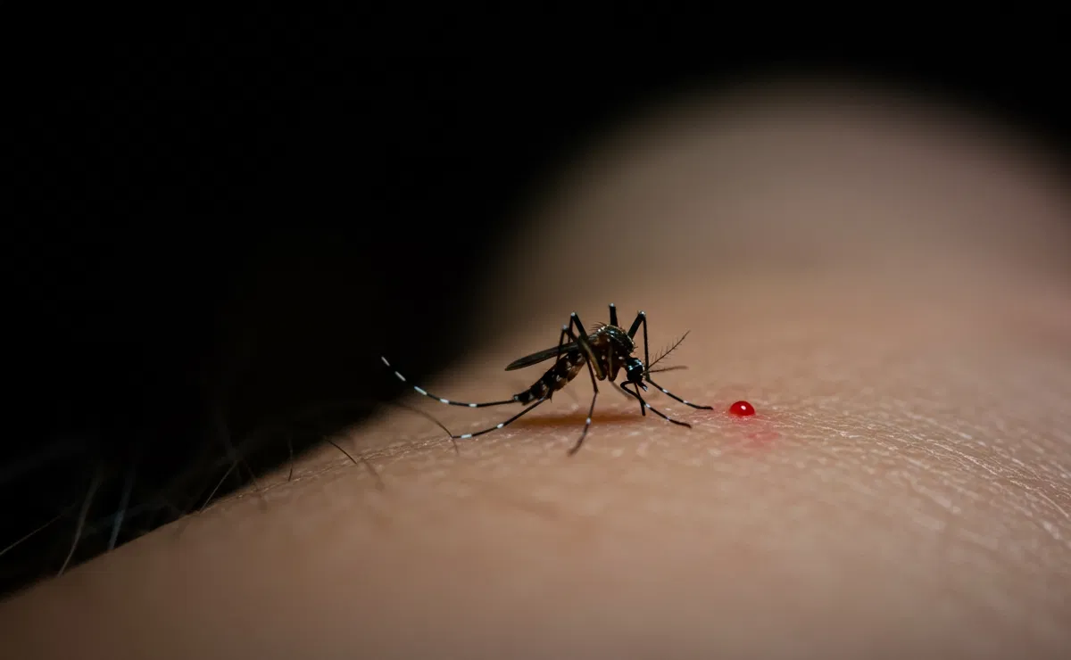 Chiapas en alerta: Detectan serotipo 2 del dengue, más agresivo y peligroso para menores de edad